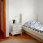 Molinos Holiday home Torrevieja